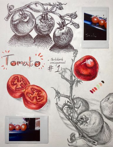 Tomato Sketchbook Spread