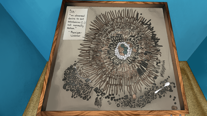 Psychiatric Museum Pica Display