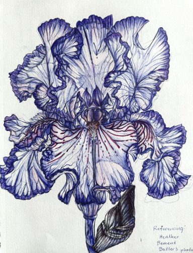 Ink Iris